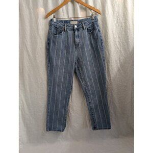 Pacsun Women's Medium-Wash White Striped 90s Y2K Mom Denim Jeans Size 28 S7